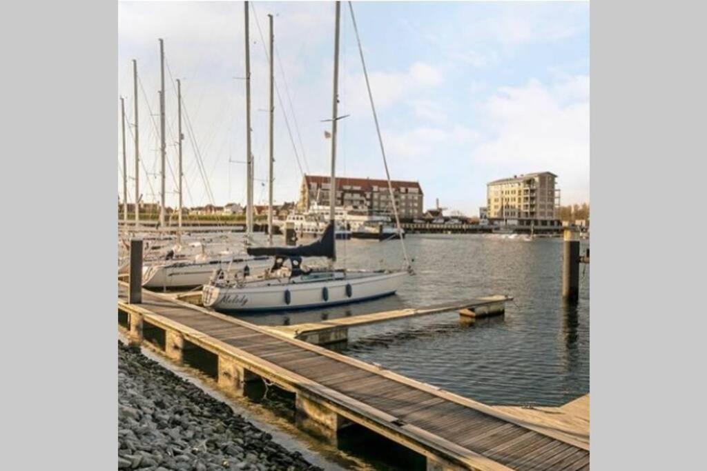 Huisje Vogelenzang Zeeland Sint Annaland Exterior foto