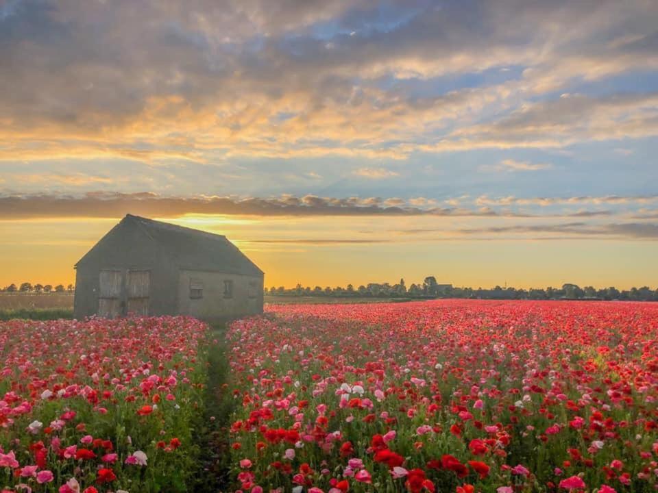 Huisje Vogelenzang Zeeland Sint Annaland Exterior foto