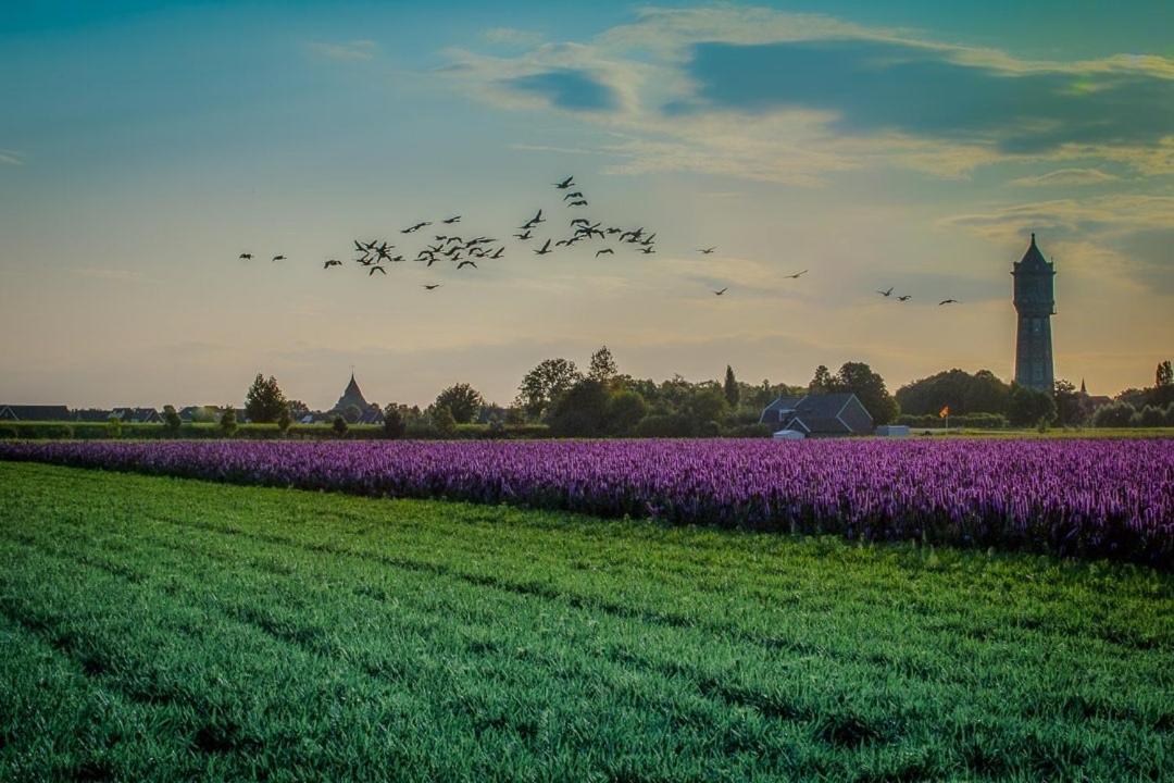 Huisje Vogelenzang Zeeland Sint Annaland Exterior foto